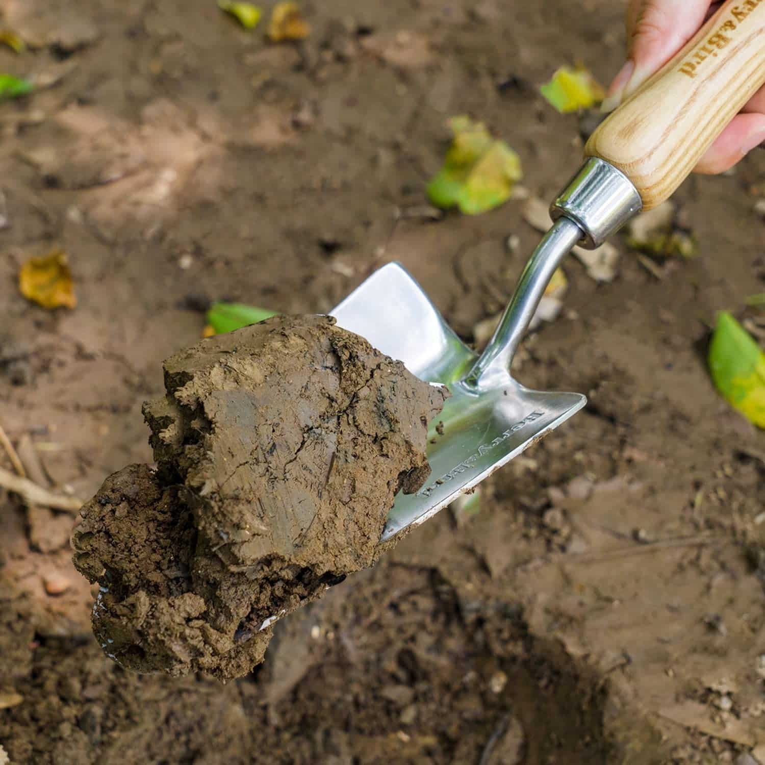 Stainless Steel Trowel: Premium Wood Handle - Image 4